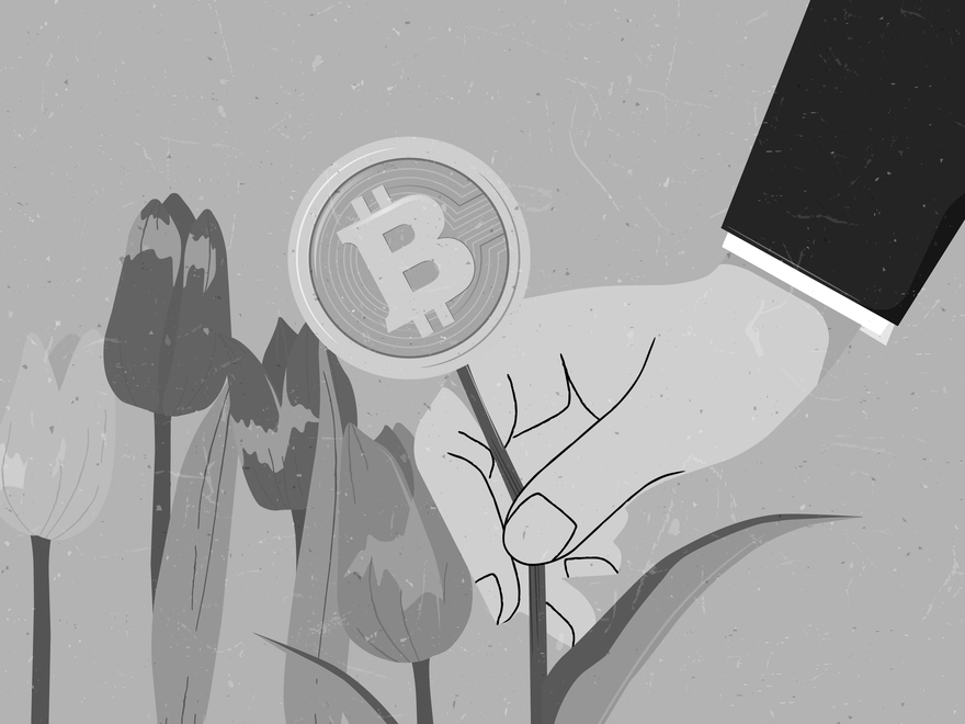 Pump-and-dump: manipulation of cryptocurrency markets